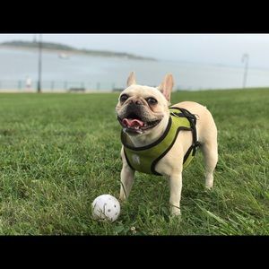 Meet your Posher, Shuaiwei